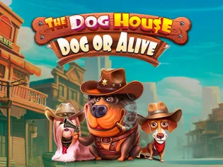 The Dog House - Dog or Alive screenshot